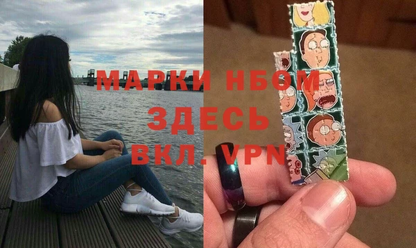 молекула духа Верхний Тагил